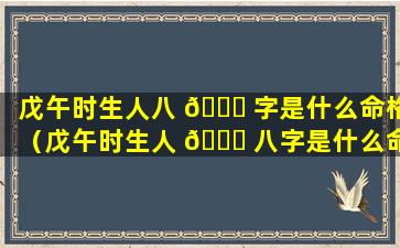 戊午时生人八 🐒 字是什么命格（戊午时生人 🐟 八字是什么命格的）